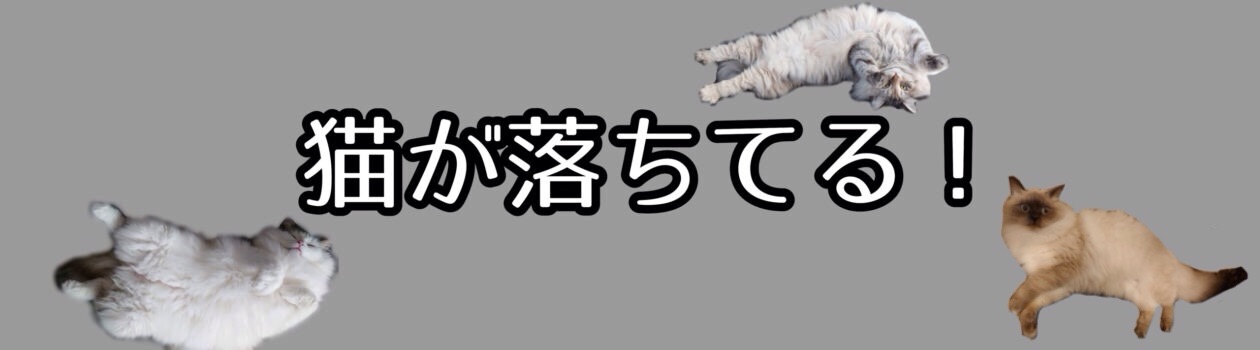 猫が落ちてる！